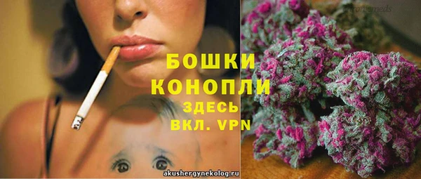 сатива Абаза